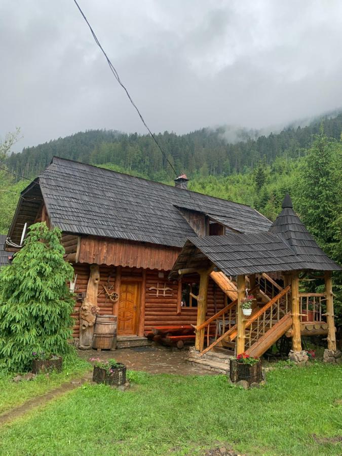Будинок Художника Synevyrsʼka Polyana Exterior foto