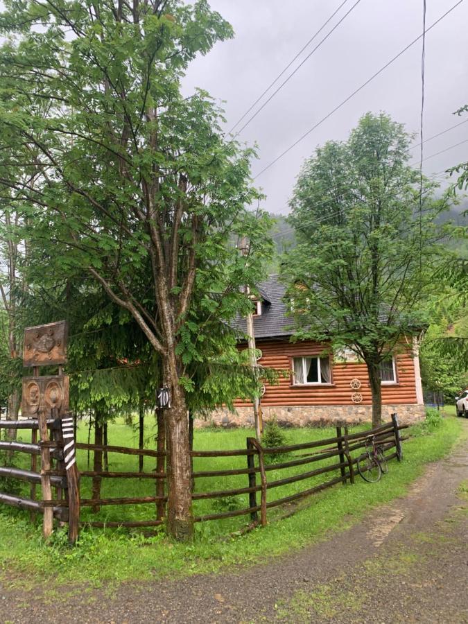 Будинок Художника Synevyrsʼka Polyana Exterior foto